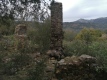 Foto36