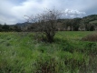 Foto38