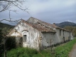 Foto41