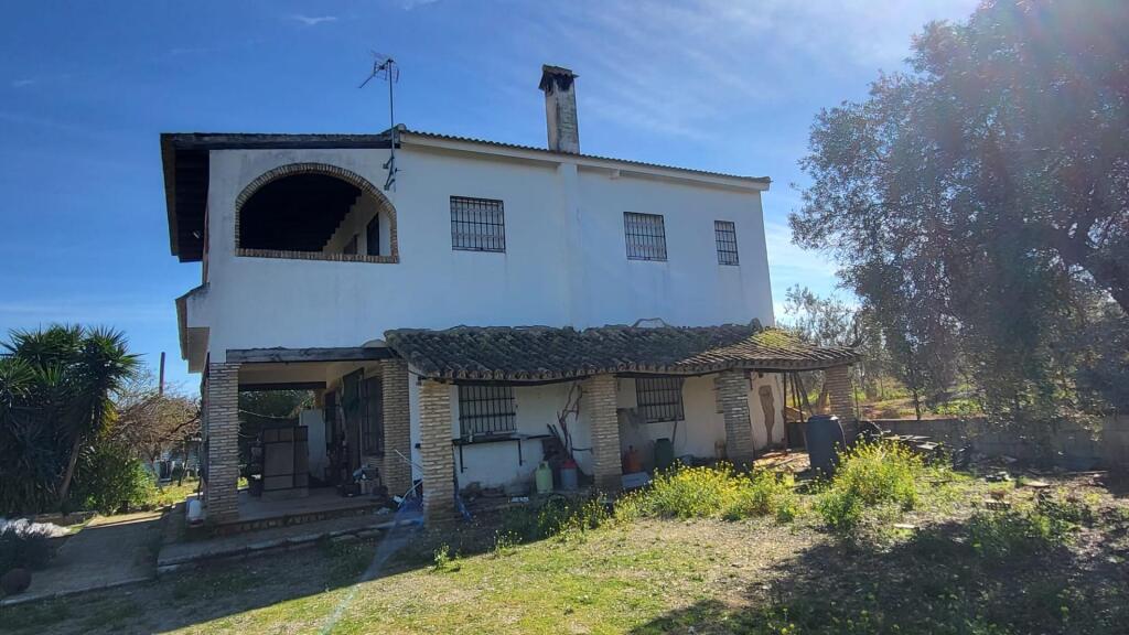 Pila lavadero  de segunda mano - Magnífica Finca en Pilas con bodega de vino mosto del Aljarafe!!!!