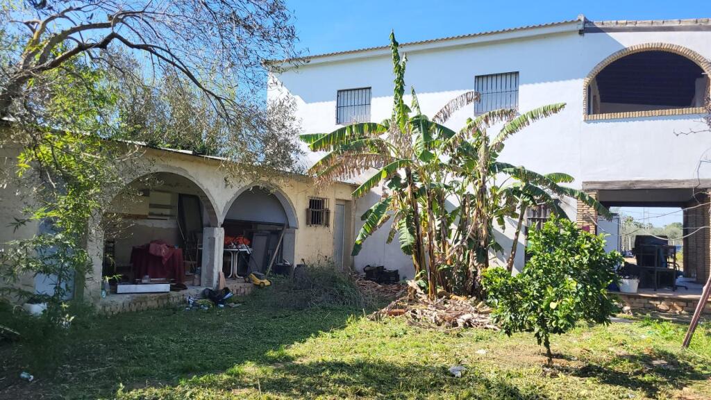 magnífica finca en pilas con bodega de vino mosto del aljarafe!!!! foto grande (2)
