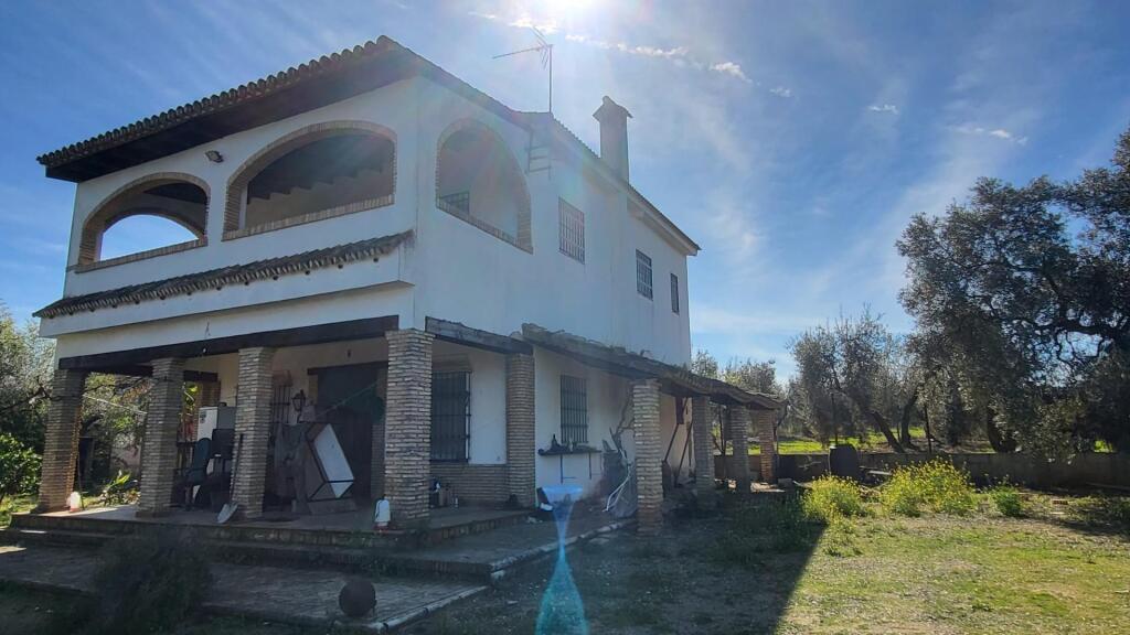 magnífica finca en pilas con bodega de vino mosto del aljarafe!!!! foto grande (3)