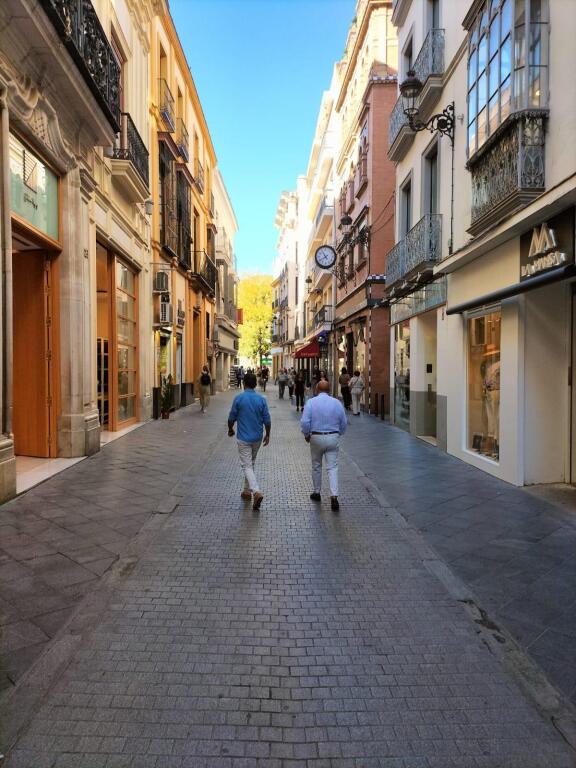 oportunidad, oficina en alquiler en pleno centro de sevilla!!! foto grande (2)
