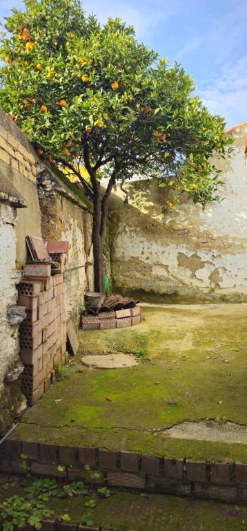 Foto gran oportunidad, casa de pueblo en almadén de la plata!!!