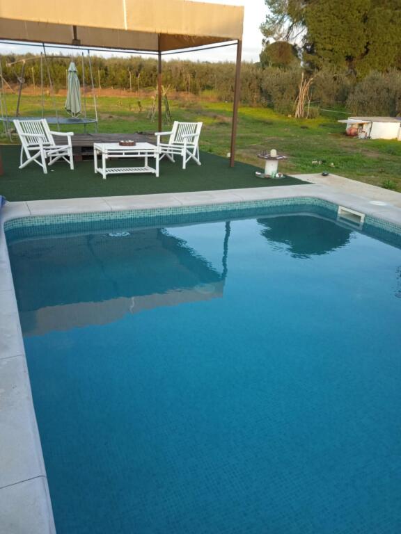 Foto gran parcela en aznalcazar con nave y piscina!!!