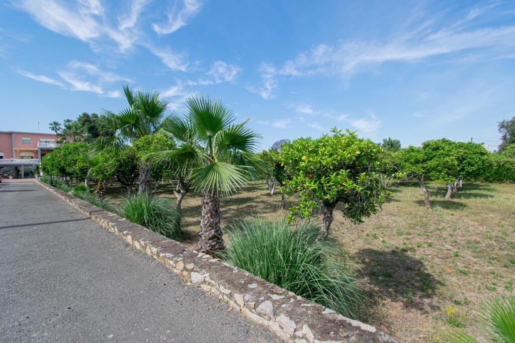 espectacular finca rústica en sanlúcar la mayor foto grande (3)