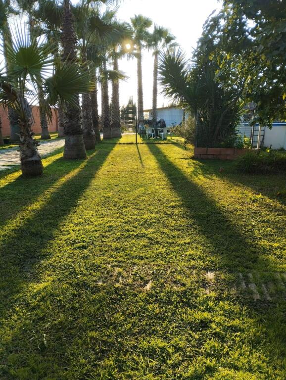 Foto gran parcela con casa en urbanización los pinos de la algabarra!!!
