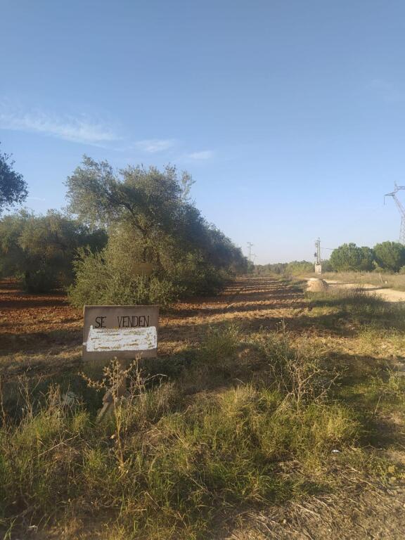 Subparcela de secano en Almensilla!!!!