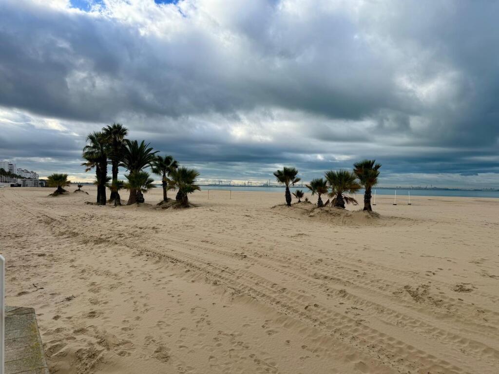 Espectacular vivienda en venta en Valdelagrana - foto 38