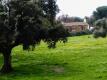 Foto51