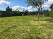 Foto34