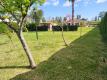 Foto52