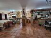 Foto8