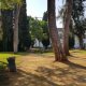 Foto42