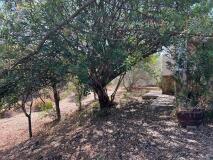 Foto15