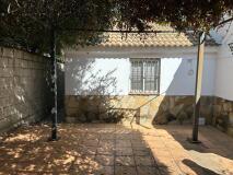 Foto19
