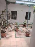 Foto16