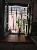 Foto18