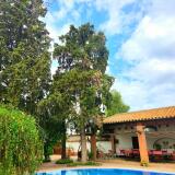 Foto53