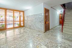 Foto5
