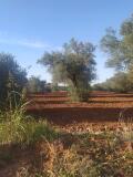 Foto3