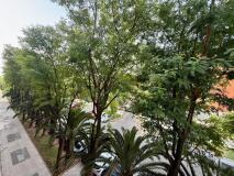 Foto12