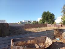Foto15
