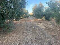 Foto5