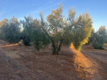Foto6