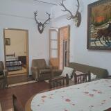 Foto3