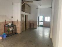 Foto3