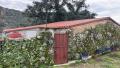 Foto34