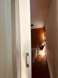 Foto17
