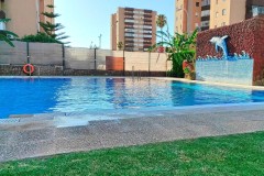 Foto37
