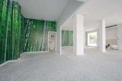 Foto4