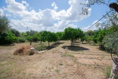 Foto18
