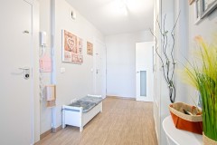 Foto11