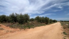 Foto1