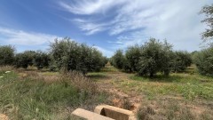 Foto4
