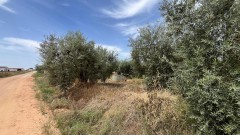 Foto5