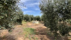 Foto6