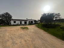 Foto10