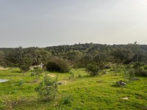 Foto13