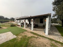 Foto16