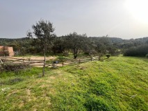 Foto19