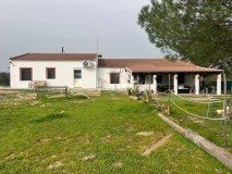 Foto20