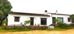 Foto3