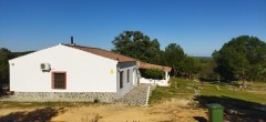 Foto4