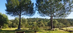 Foto5