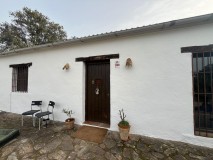 Foto53